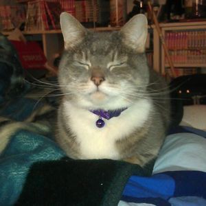 Meet your Posher, Chen